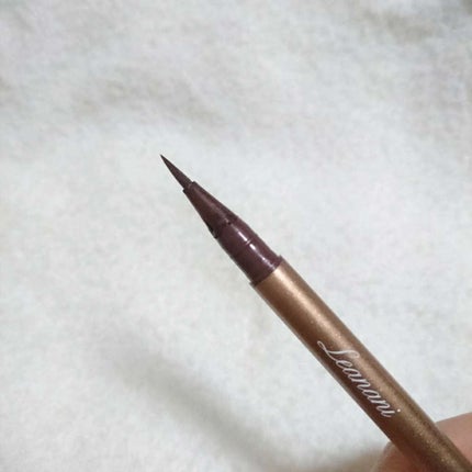 プレミアム ウォータープルーフ リキッドアイライナー/Leanani/リキッドアイライナーを使ったクチコミ(2枚目)