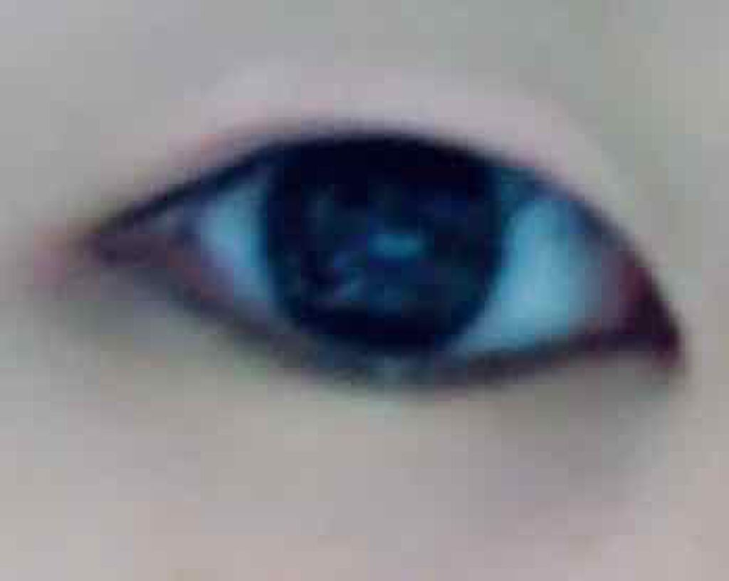 のび〜る アイテープ 両面テープタイプ/DAISO/二重まぶた用アイテムを使ったクチコミ(3枚目)