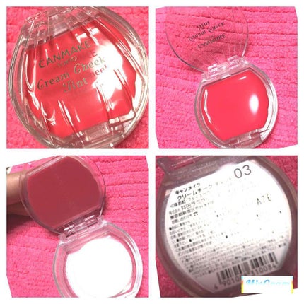 ファンデーション ブラシ 131 (専用ケース付き)/SHISEIDO/メイクブラシを使ったクチコミ(1枚目)