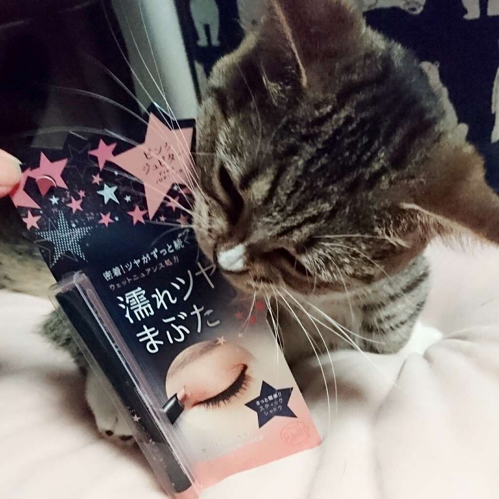 アイグロススティック/mini Palette(ミニパレット)/スティックアイシャドウを使ったクチコミ（1枚目）