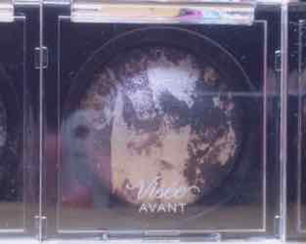 ヴィセ アヴァン マーブリング アイカラー/Visée/単色アイシャドウを使ったクチコミ（1枚目）