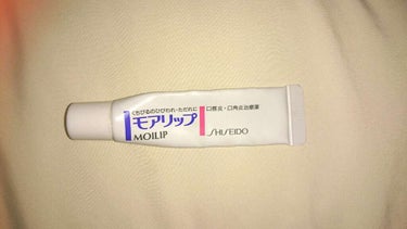 モアリップ N (医薬品)/資生堂薬品/リップケア・リップクリームを使ったクチコミ（1枚目）