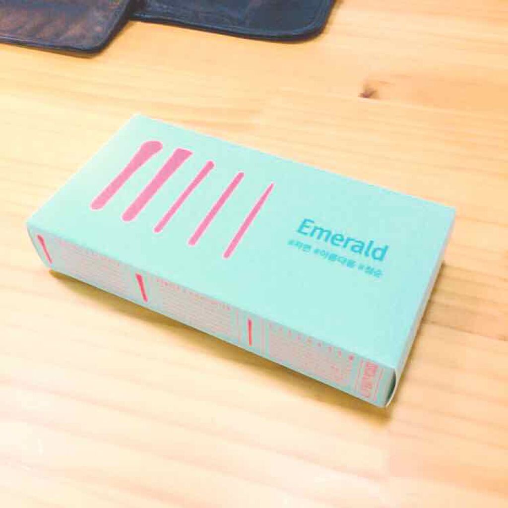 black kiss makeup brush set PICCASSO