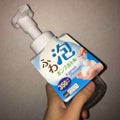 ふわ泡ポンプボトル / DAISO