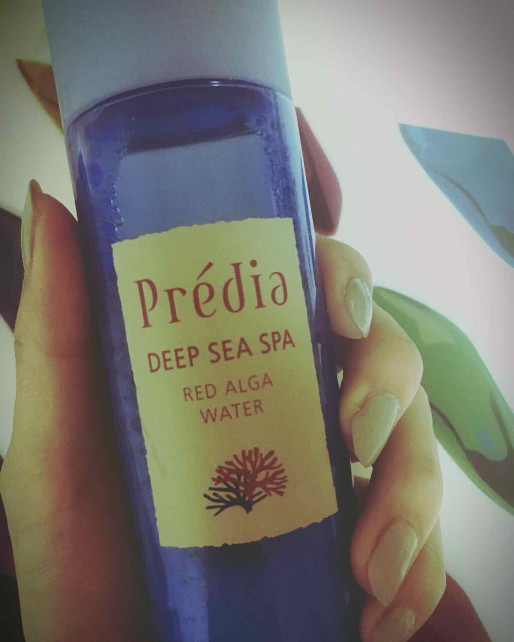 Prédia ディープシー スパ レッドアルゲ ウォーターのクチコミ「プレディア ディープシースパ
レッドアルガウォーター

私はコットンに付けてパックとして
使っ.....」（1枚目）
