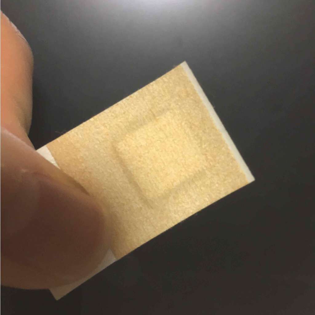 ハトムギ化粧水(ナチュリエ スキンコンディショナー R )/ナチュリエ/化粧水を使ったクチコミ（1枚目）