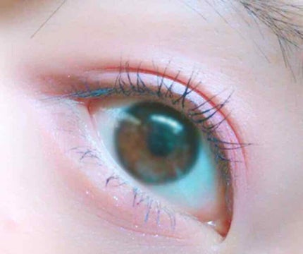 【旧品】パーフェクトスタイリストアイズ/キャンメイク/アイシャドウパレットを使ったクチコミ(1枚目)