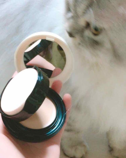 ミルキースキンリメイカー/MAJOLICA MAJORCA/化粧下地を使ったクチコミ(4枚目)