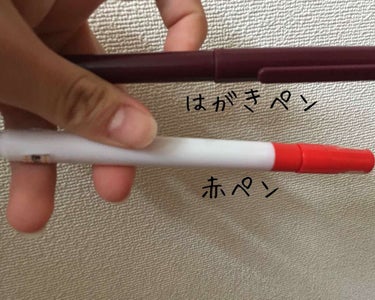 はがきペン、赤ペン DAISO