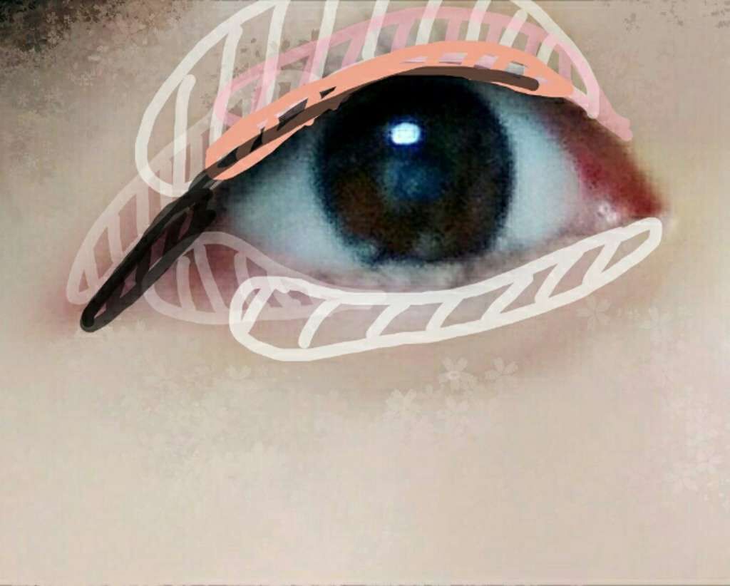 エアリータッチシャドウ/CEZANNE/アイシャドウパレットを使ったクチコミ（1枚目）