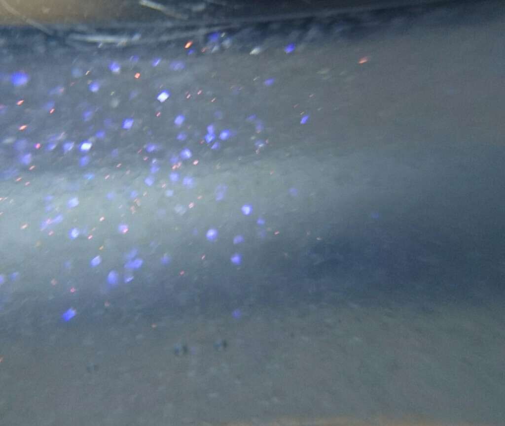 RMK リップジェリーグロス/RMK/リップグロスを使ったクチコミ（3枚目）