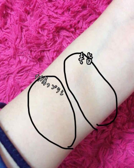 フェース コントロール カラー/CEZANNE/プレストパウダーを使ったクチコミ(3枚目)