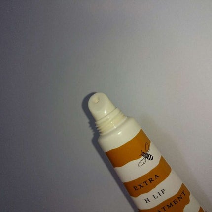 エクストラ H リップ トリートメント/IGNIS/リップケアを使ったクチコミ(2枚目)
