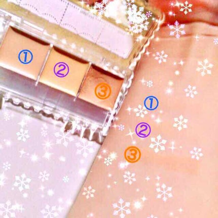 カラーミキシングコンシーラー/キャンメイク/パレットコンシーラーを使ったクチコミ(2枚目)