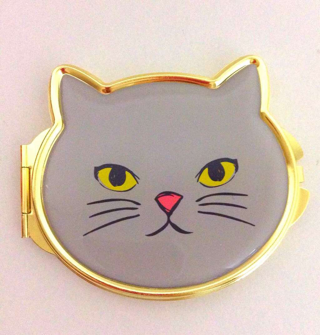 キャットミラー/DAISO/その他化粧小物を使ったクチコミ(2枚目)