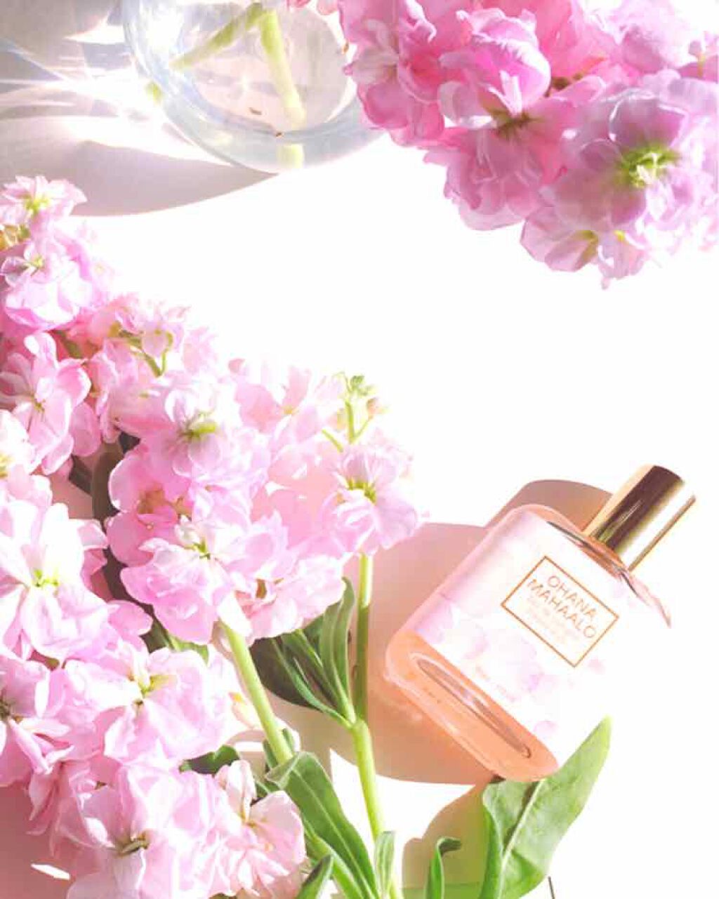 オハナ・マハロ オーデコロン <ピカケ アウリィ>/OHANA MAHAALO/香水(レディース)を使ったクチコミ(1枚目)