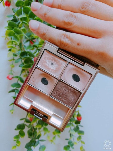 スキンモデリングアイズ/LUNASOL/アイシャドウパレットを使ったクチコミ(1枚目)