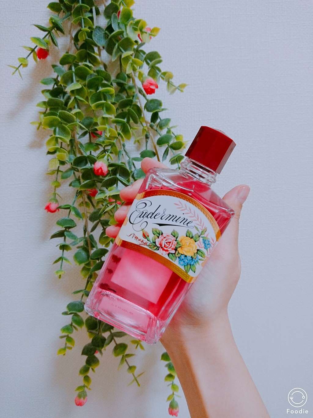 オイデルミン(N)/SHISEIDO/化粧水を使ったクチコミ(1枚目)