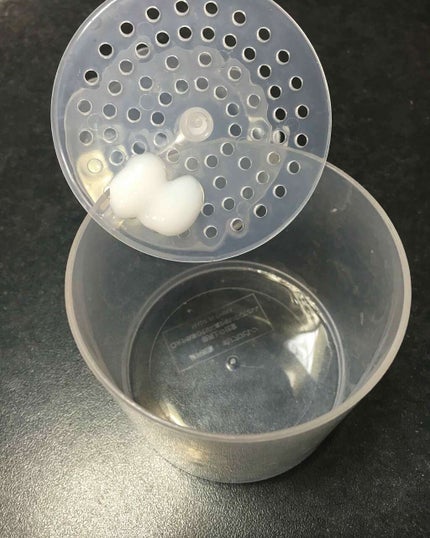 クッション泡洗顔料/SOFINA/洗顔フォームを使ったクチコミ(2枚目)