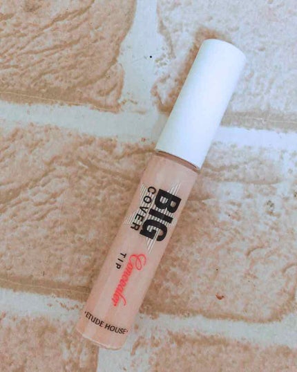 ビッグカバーチップコンシーラー/ETUDE/リキッドコンシーラーを使ったクチコミ(2枚目)