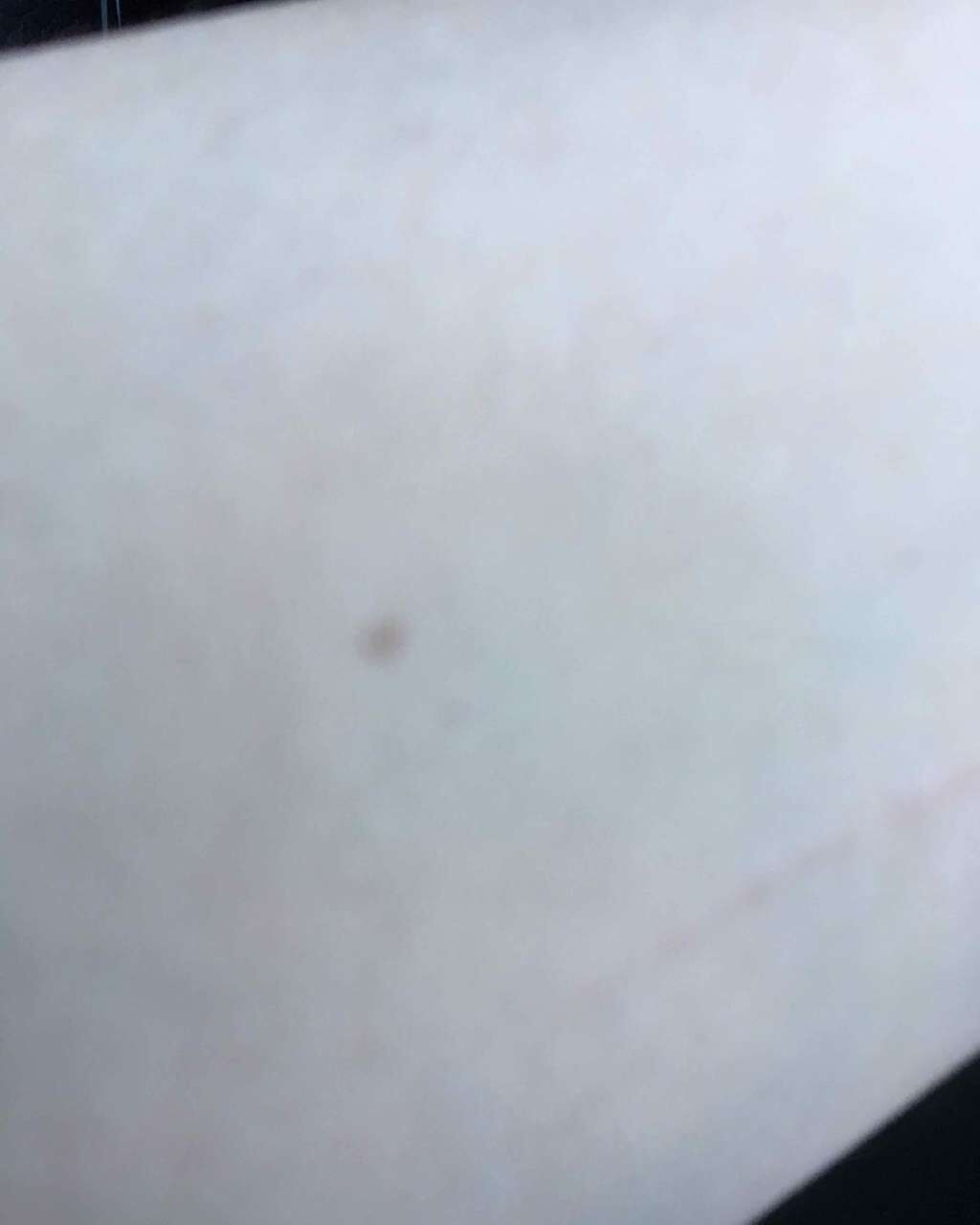 BBクリーム エンリッチ/毛穴パテ職人/BBクリームを使ったクチコミ(3枚目)