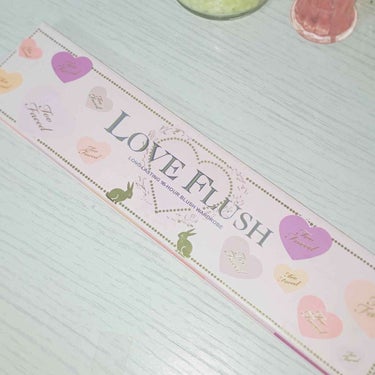 Too Faced  チーク


･ トゥーフェイス
･ LOVE FLUSH


6色全て使えて、とても可愛い色です🐰💚

発色がとても良く、
なんといっても落ちにくいです☺️👌🏻

見ての通り持ち歩