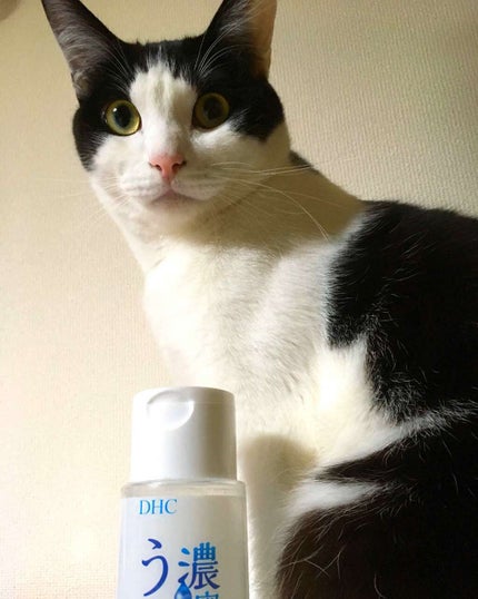 濃密うるみ肌 薬用美白化粧水/DHC/化粧水を使ったクチコミ(3枚目)