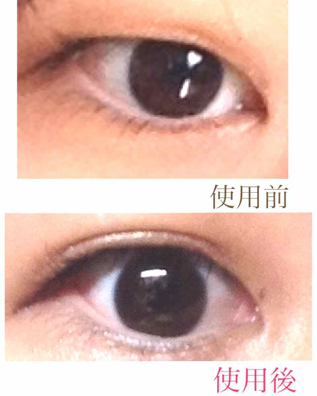 ローヤルプチアイムSII/ROYAL/二重まぶた用アイテムを使ったクチコミ(2枚目)