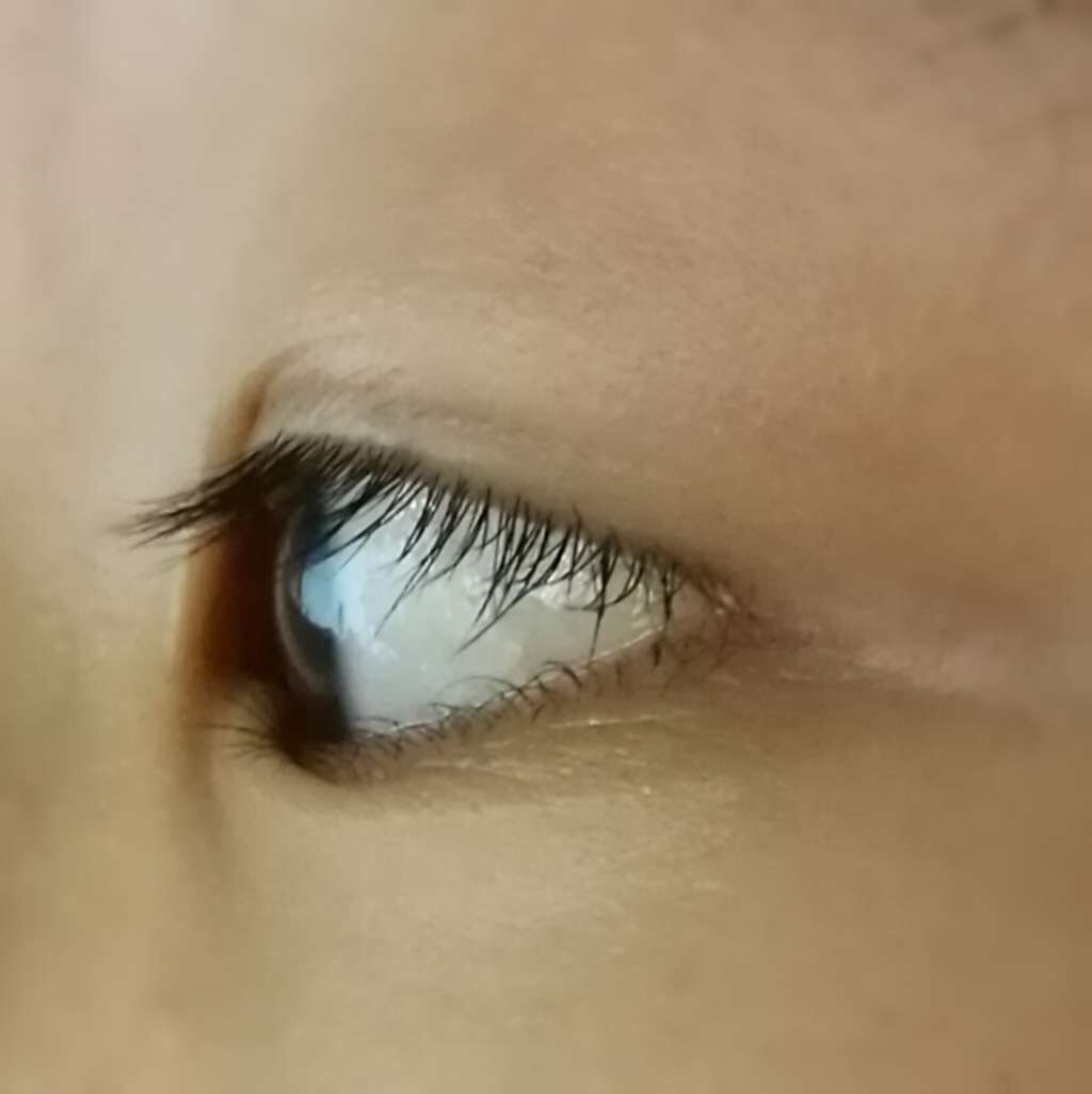 THE まつ毛美容液/UZU BY FLOWFUSHI/まつげ美容液を使ったクチコミ（1枚目）