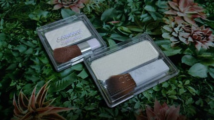 フェース コントロール カラー/CEZANNE/プレストパウダーを使ったクチコミ(1枚目)