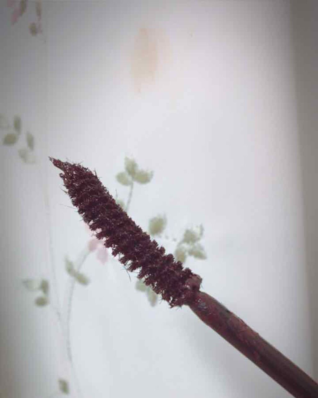 フレアリングカールマスカラ/キャンメイク/マスカラを使ったクチコミ(3枚目)