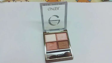 スキニーリッチシャドウ/excel/アイシャドウパレットを使ったクチコミ（2枚目）