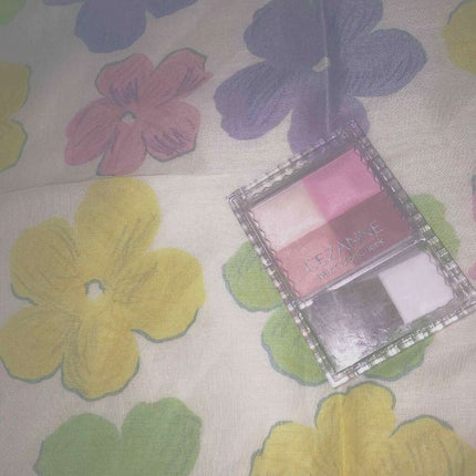 ミックスカラーチーク/CEZANNE/パウダーチークを使ったクチコミ(1枚目)