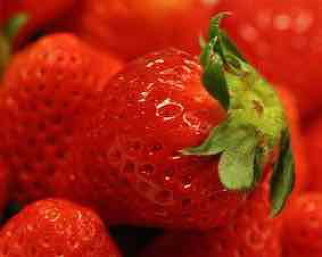 ハトムギ化粧水(ナチュリエ スキンコンディショナー R )/ナチュリエ/化粧水を使ったクチコミ(1枚目)