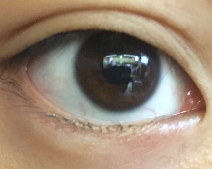 ReVIA 1day/ReVIA/ワンデー(1DAY)カラコンを使ったクチコミ(2枚目)