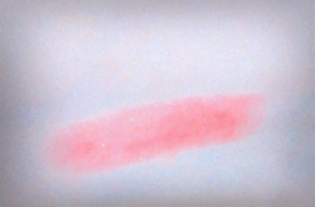 ステイオンバームルージュ/キャンメイク/口紅を使ったクチコミ（3枚目）