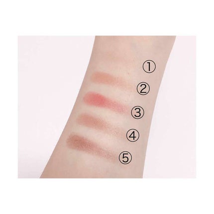 パーフェクトマルチアイズ/キャンメイク/アイシャドウパレットを使ったクチコミ(3枚目)