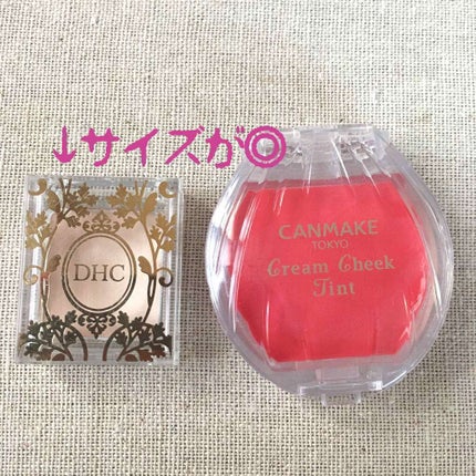 シングルカラー アイシャドウ/DHC/アイシャドウパレットを使ったクチコミ(3枚目)