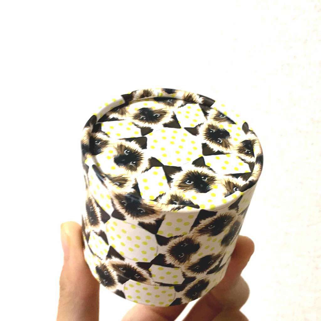 チーク カラー CS/PAUL & JOE BEAUTE/パウダーチークを使ったクチコミ(1枚目)