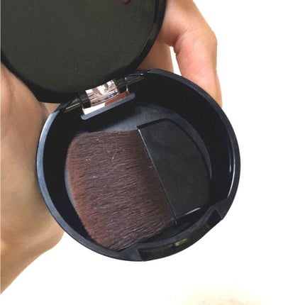 リシェ フォギーオン チークス/Visée/パウダーチークを使ったクチコミ(2枚目)