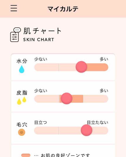肌パシャ/SHISEIDO/その他を使ったクチコミ(1枚目)