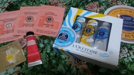 シア ハンドクリーム/L'OCCITANE/ハンドクリームを使ったクチコミ(1枚目)