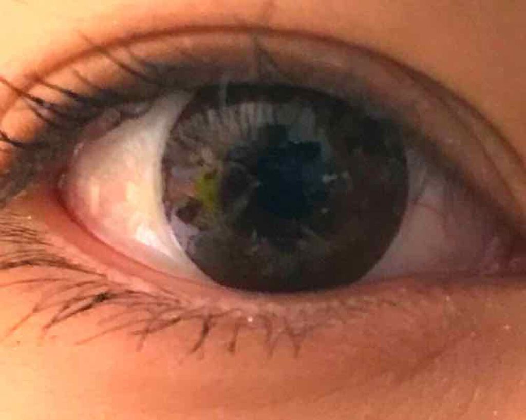 FLANMY 1day/FLANMY/ワンデー（１DAY）カラコンを使ったクチコミ（3枚目）