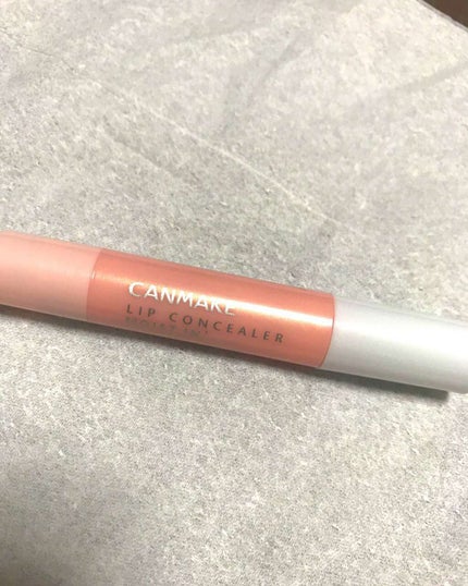 リップコンシーラー モイスト イン/キャンメイク/スティックコンシーラーを使ったクチコミ(1枚目)