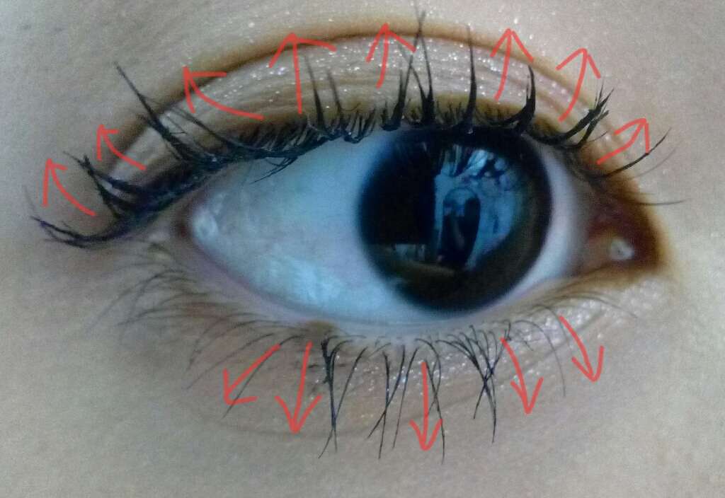 ボリュームコーム マスカラ/CEZANNE/マスカラを使ったクチコミ(1枚目)