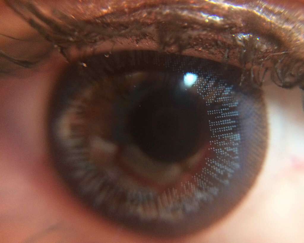 eye closet 1day SweetSeries(アイクローゼットワンデー スウィートシリーズ)/EYE CLOSET/ワンデー(1DAY)カラコンを使ったクチコミ(2枚目)