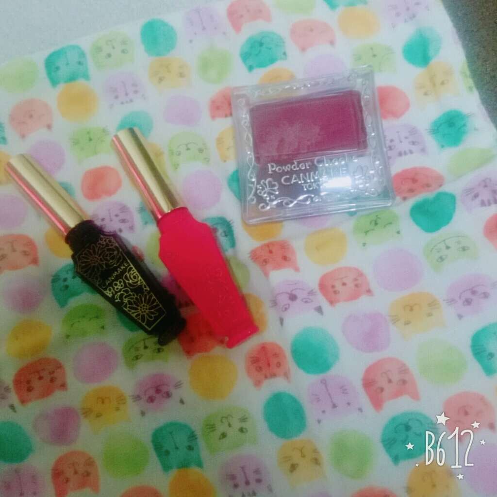 【旧品】パウダーチークス/キャンメイク/パウダーチークを使ったクチコミ(1枚目)