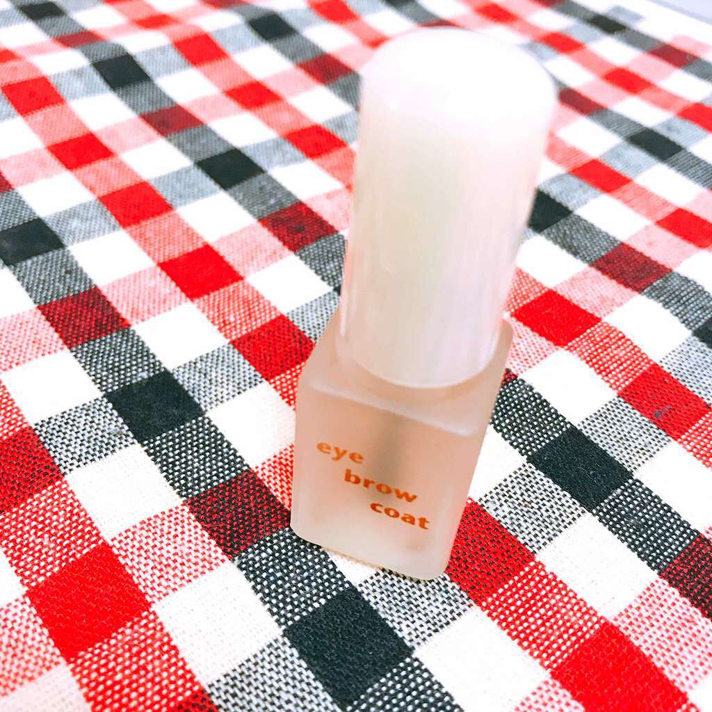 エバビレーナ アイブローコート/DAISO/アイブロウコートを使ったクチコミ(1枚目)