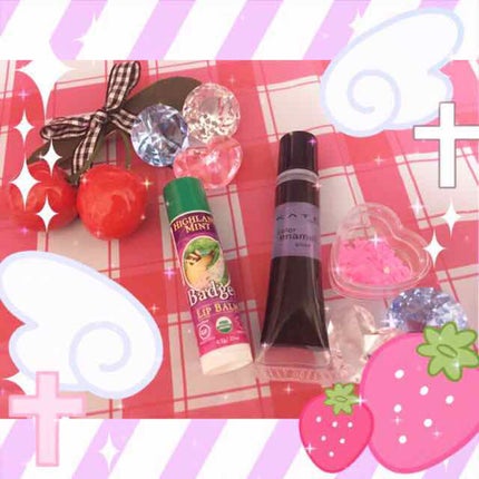 クラシックリップバームスティック(ハイランドミント)/Badger(バジャー)/リップケアを使ったクチコミ(1枚目)