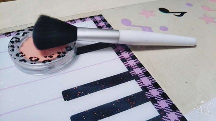 MPアニマルチーク/Mio Piccolo/パウダーチークを使ったクチコミ(1枚目)